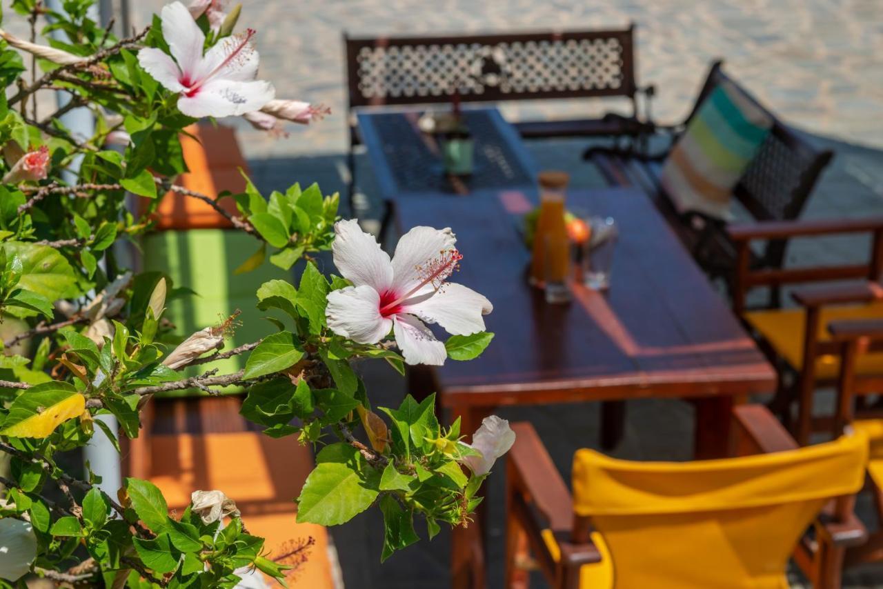 Panorama Studios & Apartments Амуди Экстерьер фото